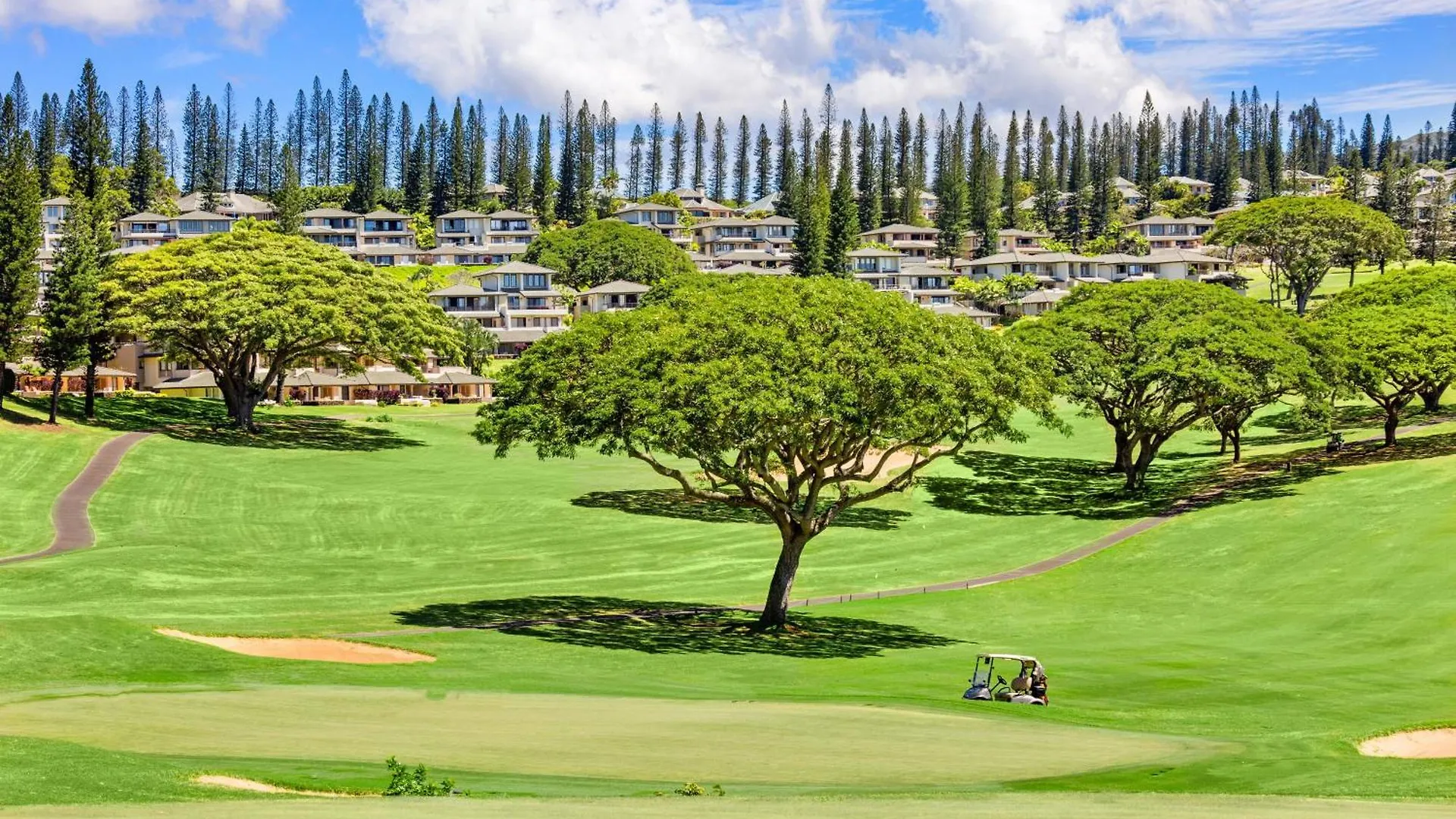 Kapalua Golf Villas 20P 5&6 Kahana
